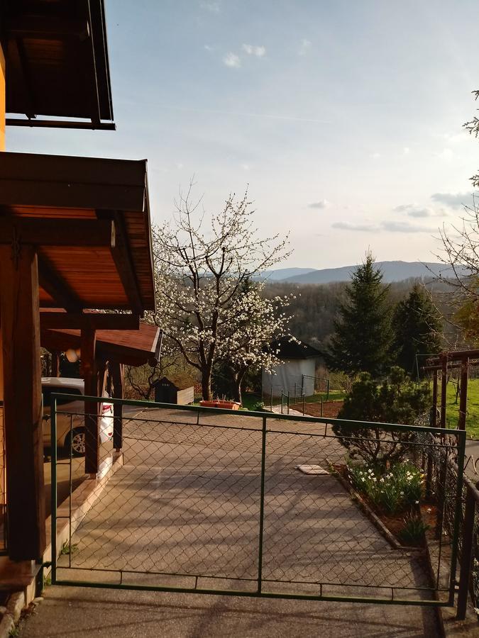 Bed&Breakfast Zilje 维尼察 外观 照片